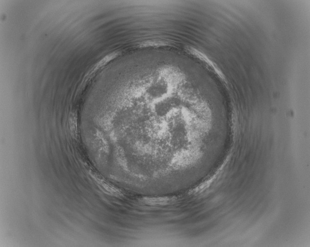 X0000075380825200609291548