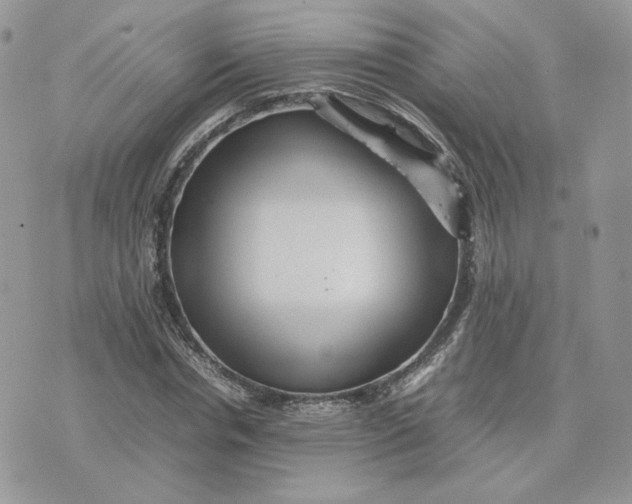 X0000075380826200609291549