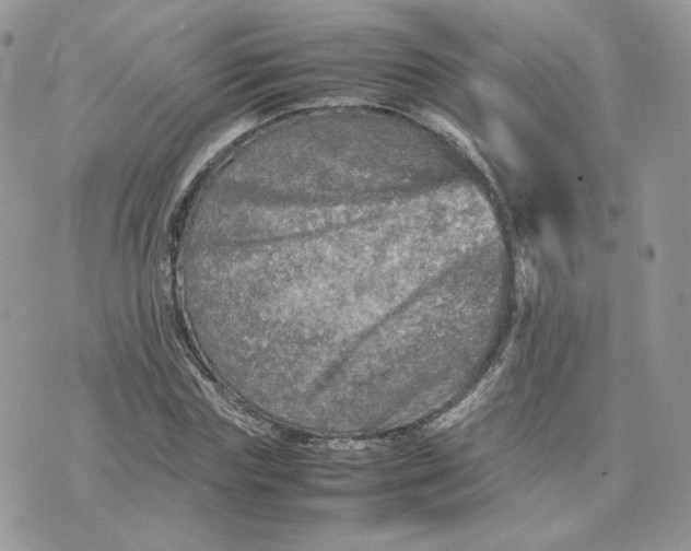 X0000075380827200609291549