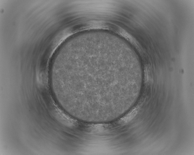 X0000075380828200609291549