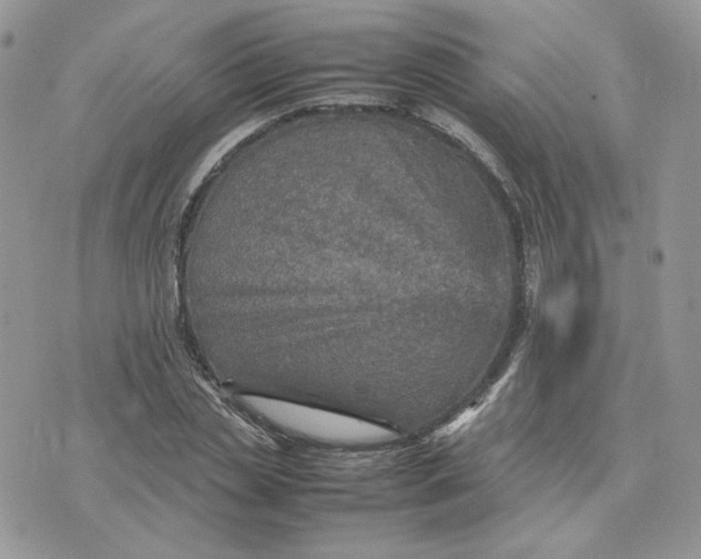 X0000075380829200609291549