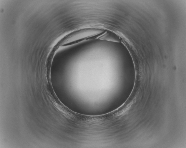 X0000075380830200609291549