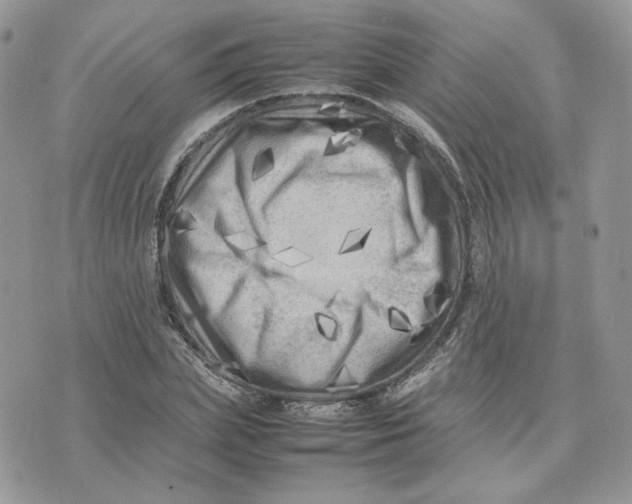 X0000075380831200609291549