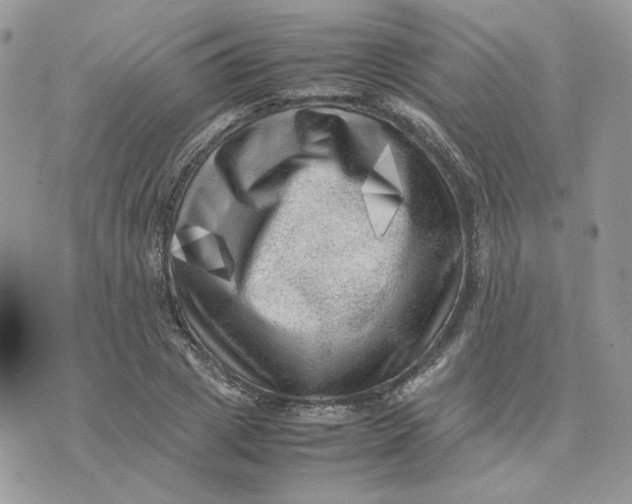 X0000075380833200609291549