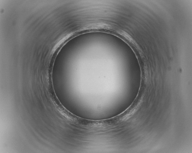 X0000075380834200609291549