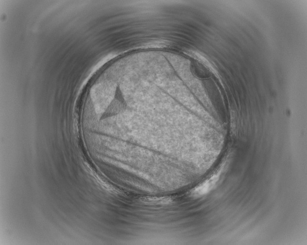 X0000075380835200609291549