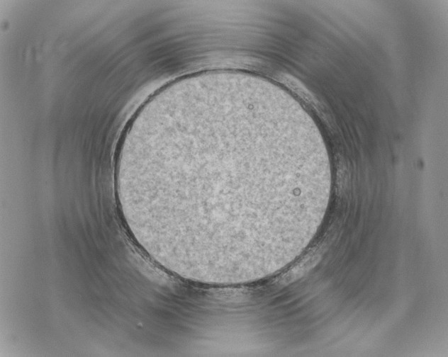 X0000075380836200609291549