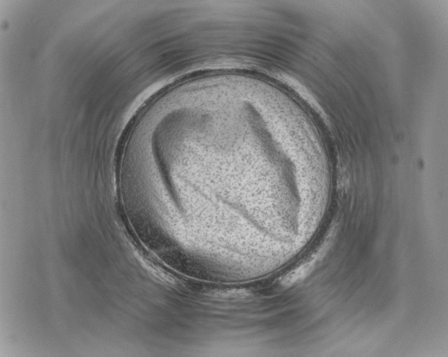 X0000075380837200609291549