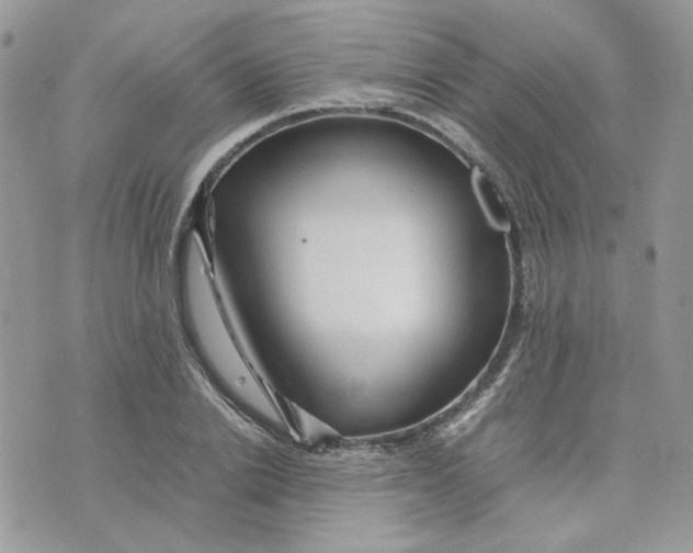 X0000075380838200609291549