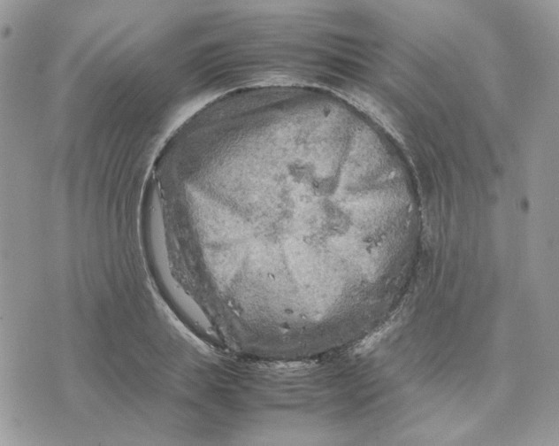 X0000075380839200609291549