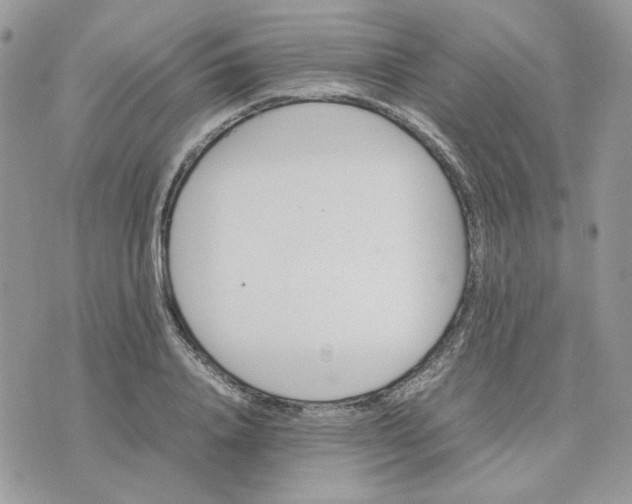 X0000075380840200609291549