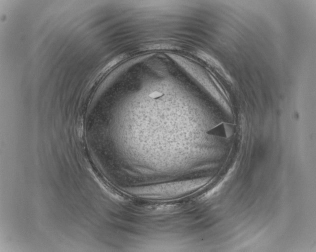 X0000075380841200609291549