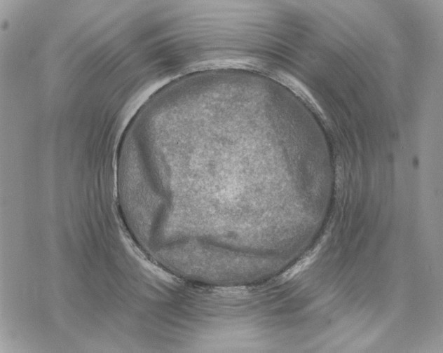 X0000075380844200609291549