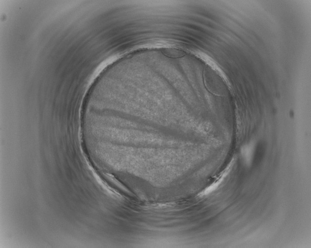 X0000075380845200609291549