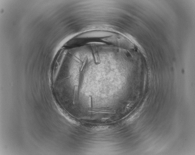 X0000075380846200609291549