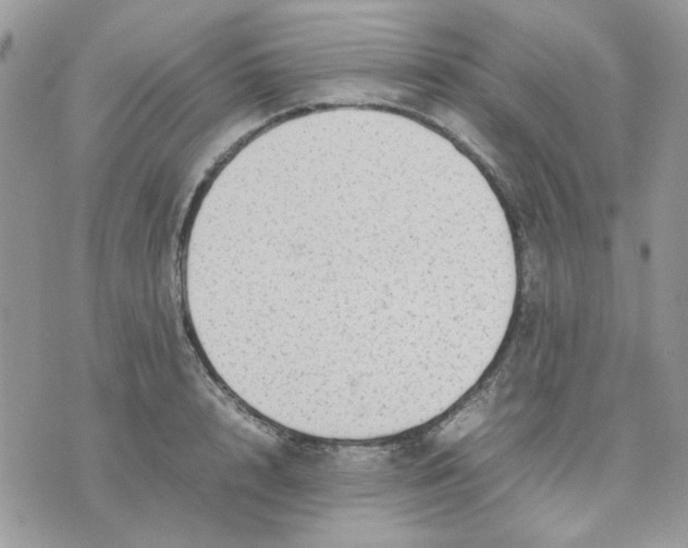 X0000075380848200609291549