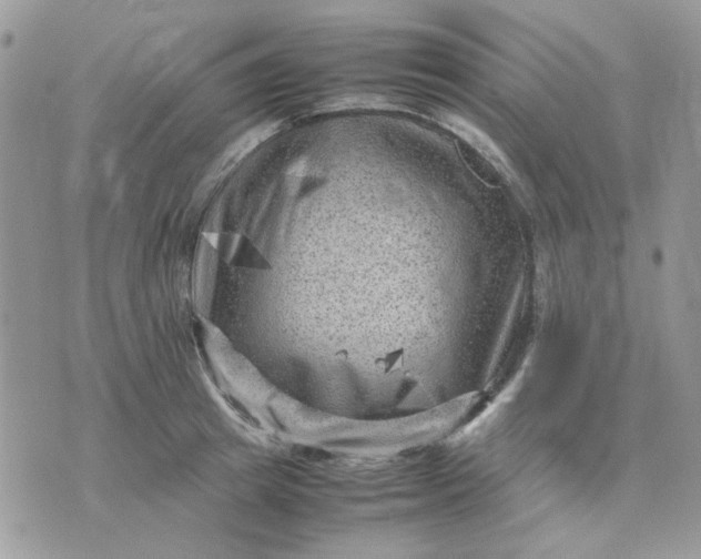 X0000075380849200609291549