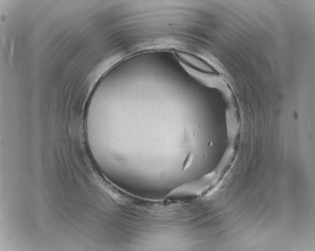 X0000075380850200609291549