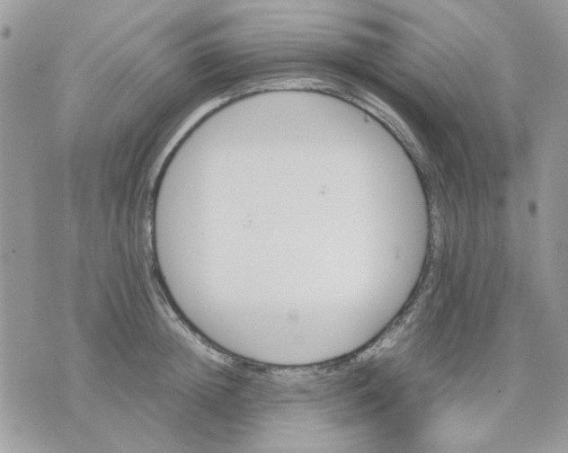 X0000075380852200609291549