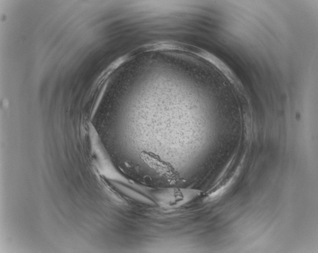 X0000075380857200609291549