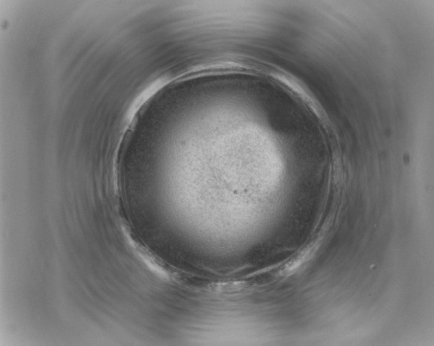 X0000075380858200609291549