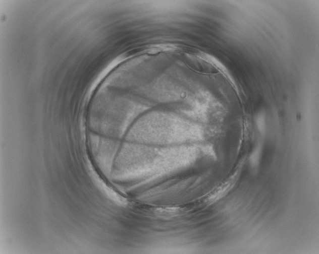 X0000075380859200609291549