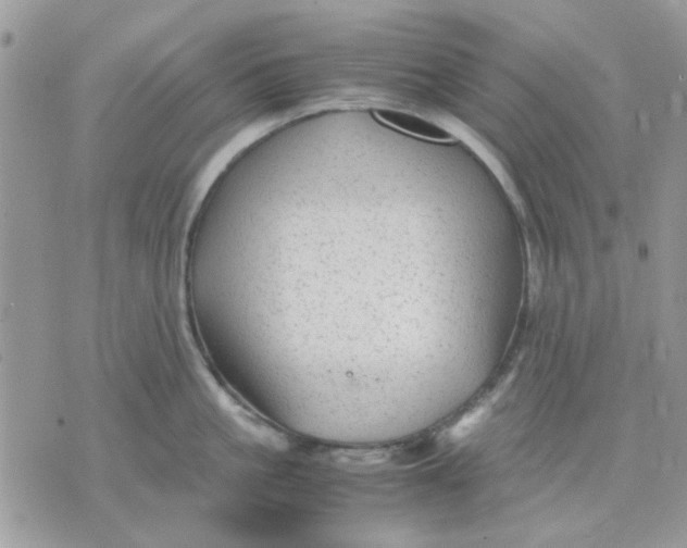 X0000075380861200609291549