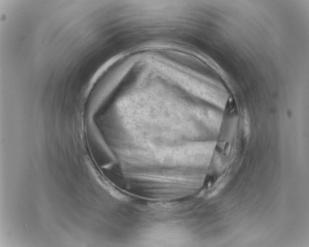 X0000075380862200609291549