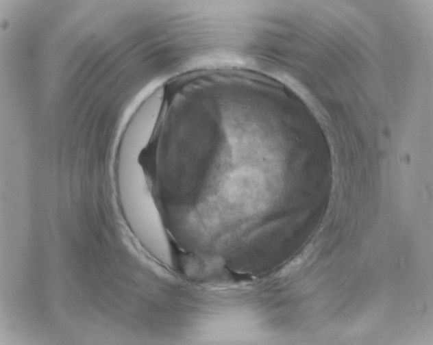 X0000075380864200609291549