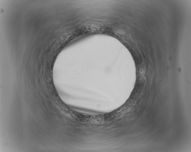 X0000075380865200609291548