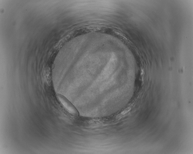 X0000075380867200609291548