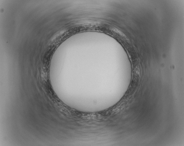 X0000075380869200609291548