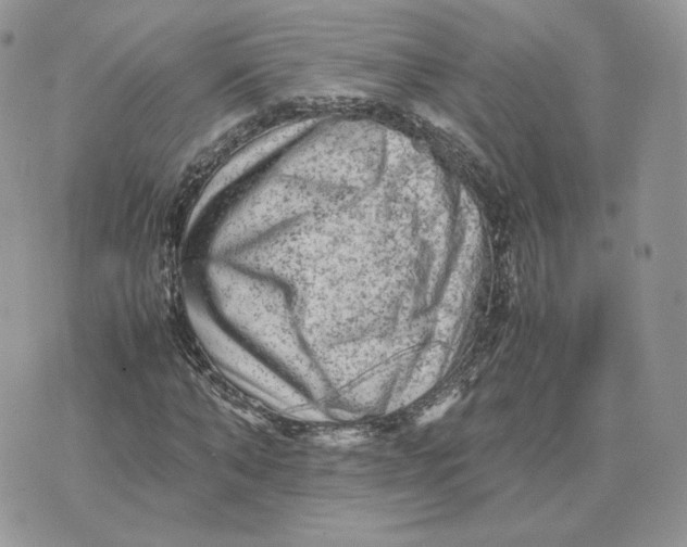 X0000075380870200609291548