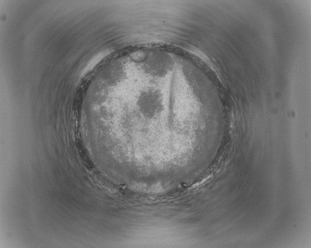 X0000075380871200609291548