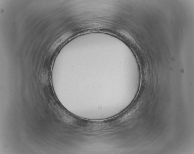 X0000075380873200609291548