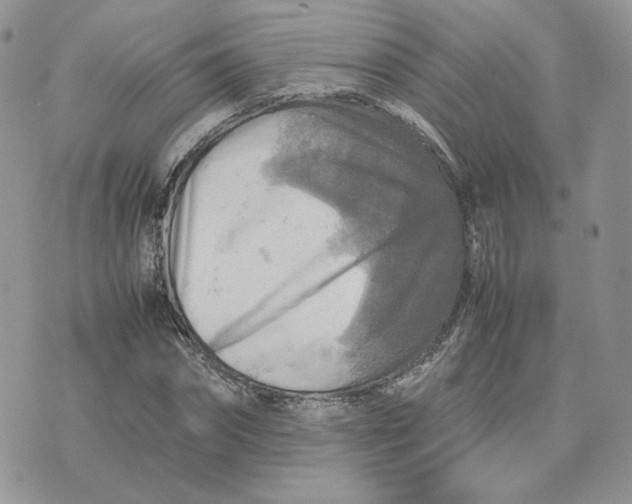 X0000075380874200609291548