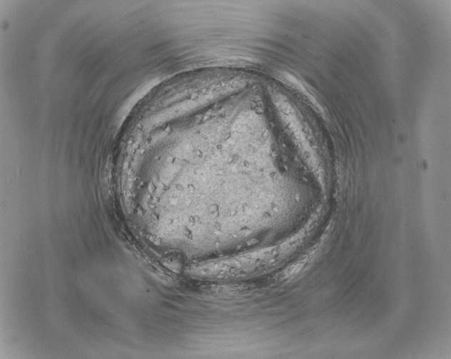 X0000075380875200609291548