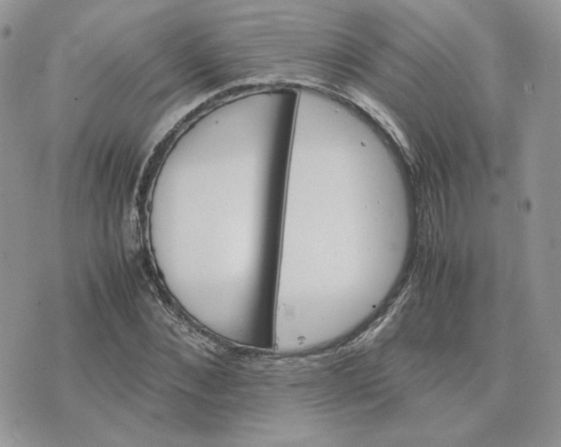 X0000075380876200609291548