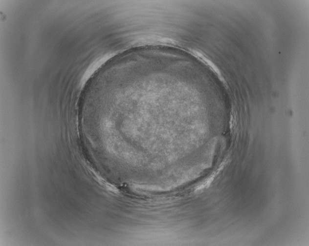 X0000075380877200609291548