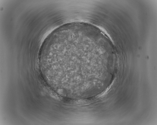 X0000075380879200609291548