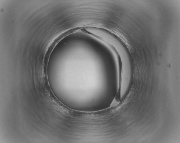 X0000075380880200609291548