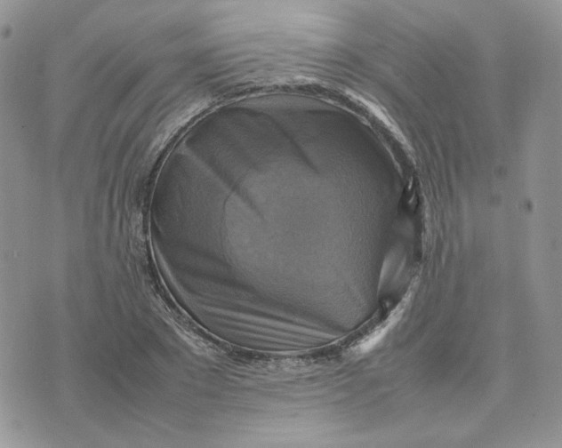 X0000075380881200609291548