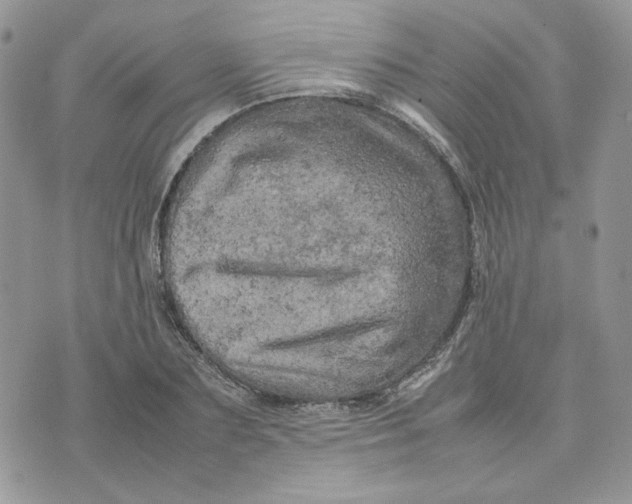 X0000075380883200609291548