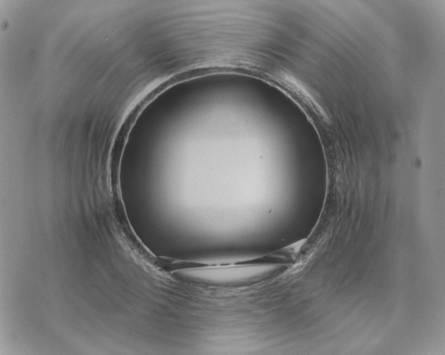 X0000075380884200609291548