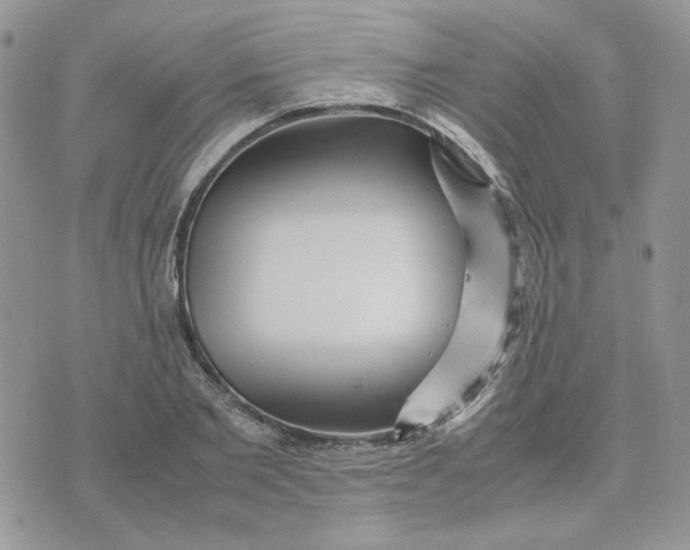 X0000075380885200609291548