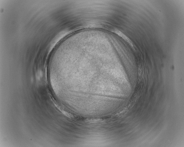 X0000075380886200609291548