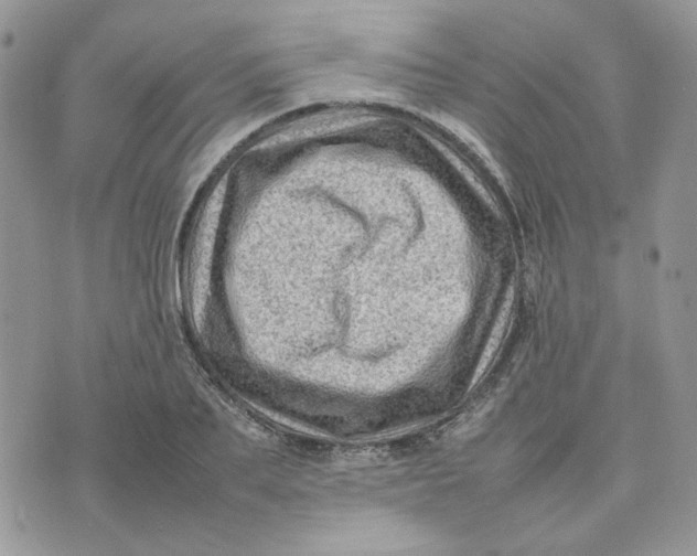 X0000075380887200609291548