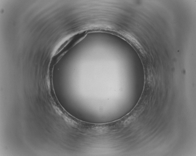 X0000075380888200609291548