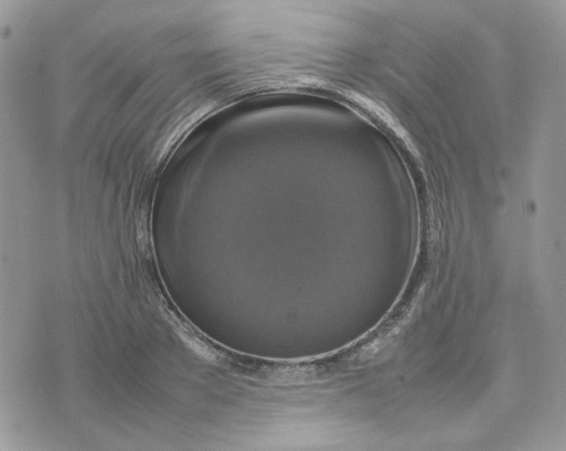 X0000075380889200609291548