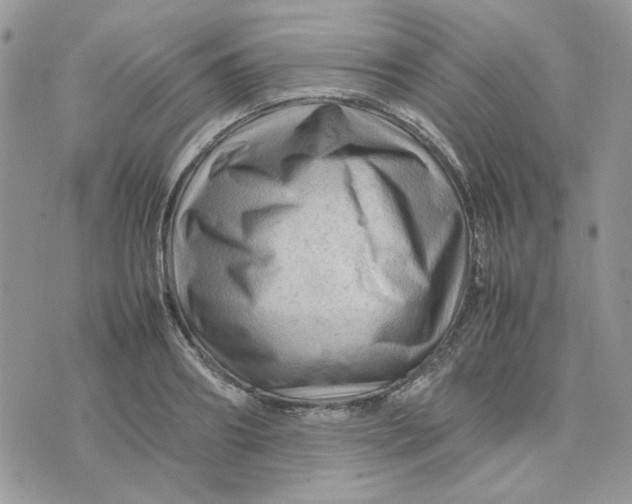 X0000075380890200609291548